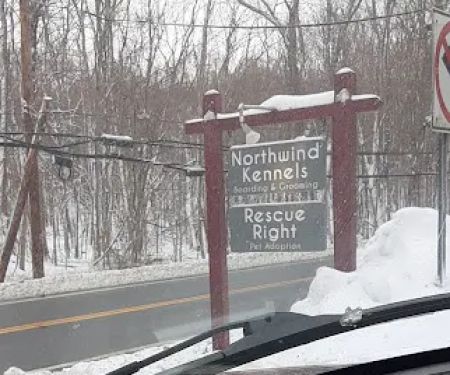 Bedford Village Vet Hospital