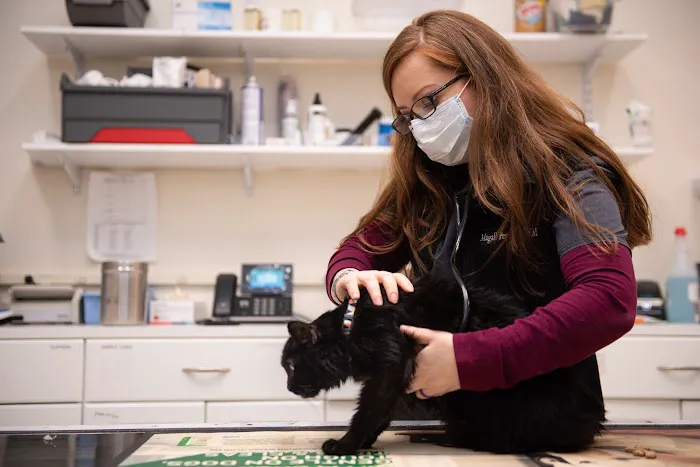 Valley Veterinary Hospital Picture 1