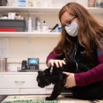 Valley Veterinary Hospital