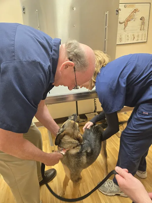 New Milford Animal Hospital: Picture 5