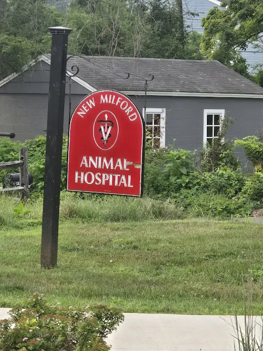 New Milford Animal Hospital: Picture 3