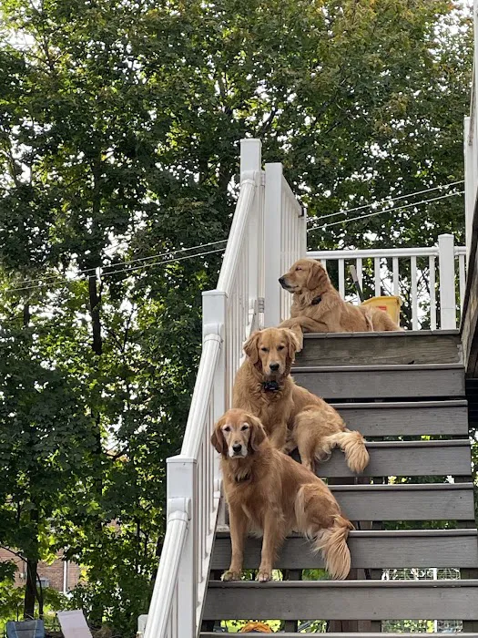 New Milford Animal Hospital: Picture 6