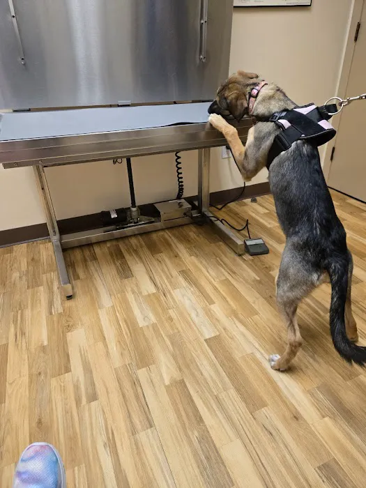 New Milford Animal Hospital: Picture 4