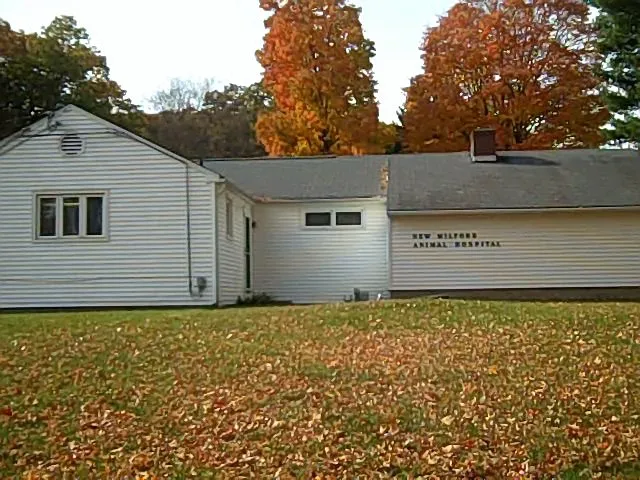 New Milford Animal Hospital: Picture 9