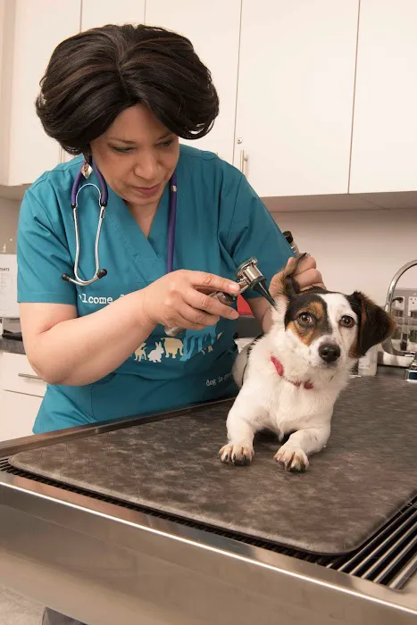 PetsFirst TLC Veterinary Center Picture 9