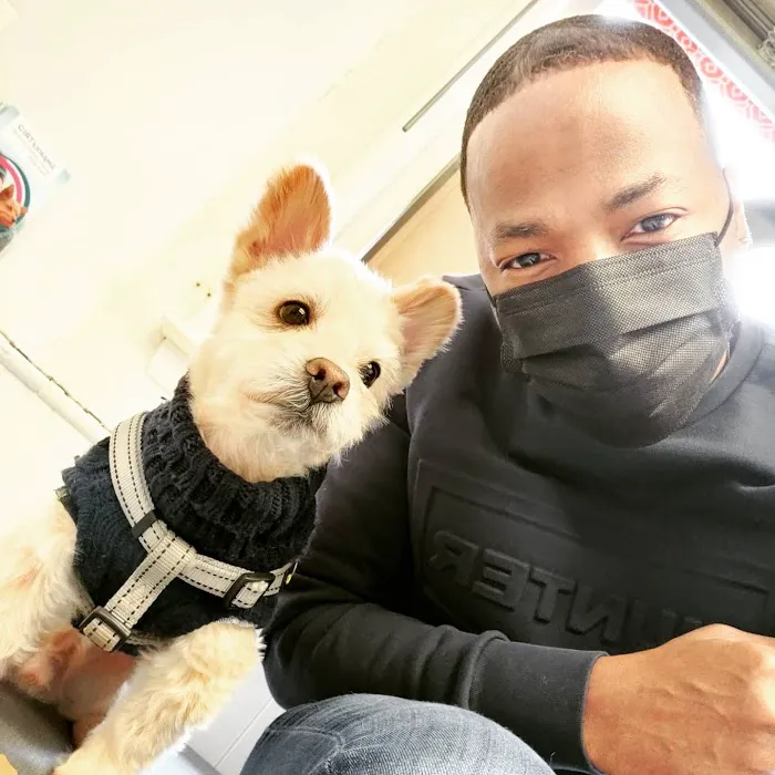 PetsFirst TLC Veterinary Center Picture 8