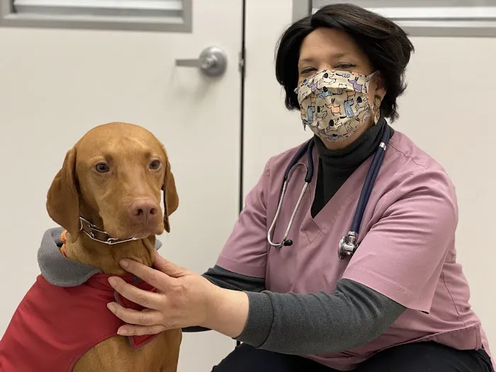 PetsFirst TLC Veterinary Center Picture 10