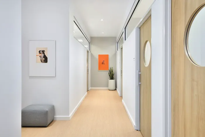 Small Door Veterinary - Bethesda Picture 6