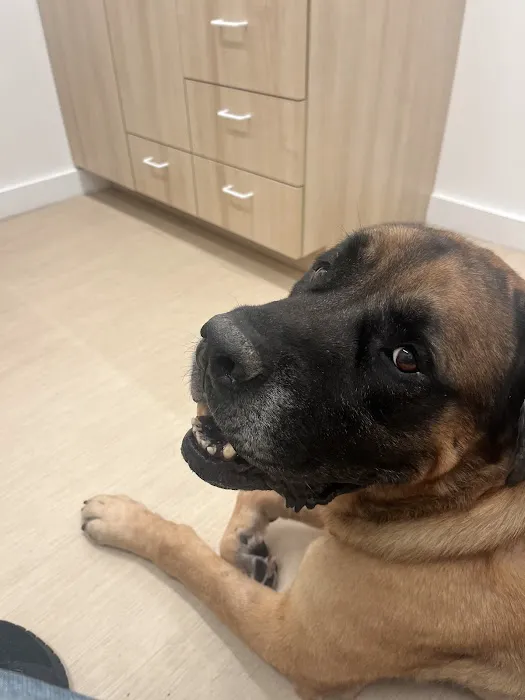 Small Door Veterinary - Bethesda Picture 7