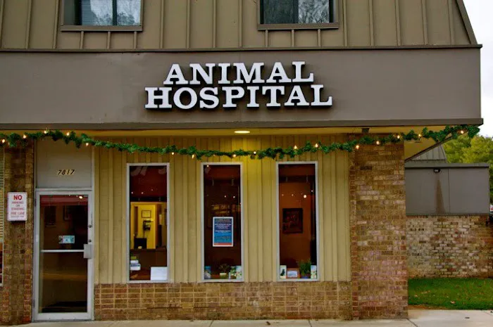 Seven Locks Animal Hospital Picture 3