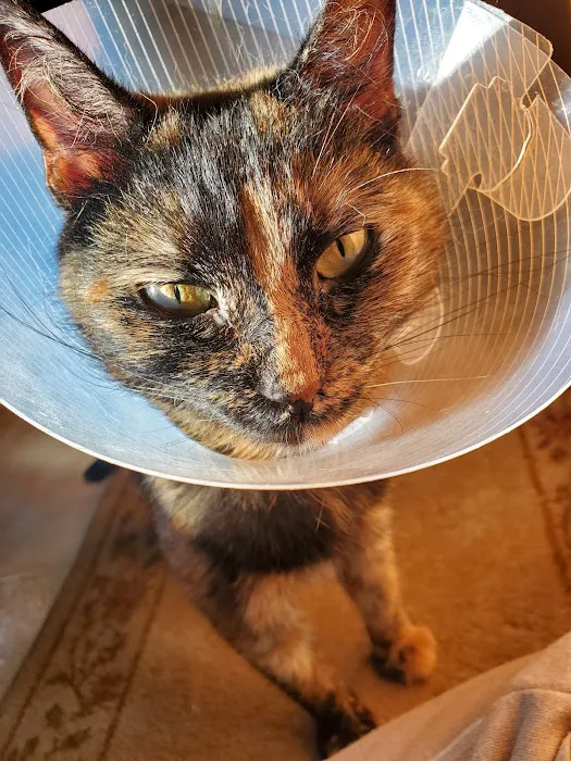 Apple Tree Animal Clinic Picture 2