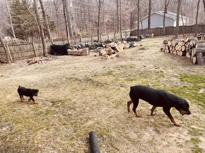 Apple Tree Animal Clinic Picture 8