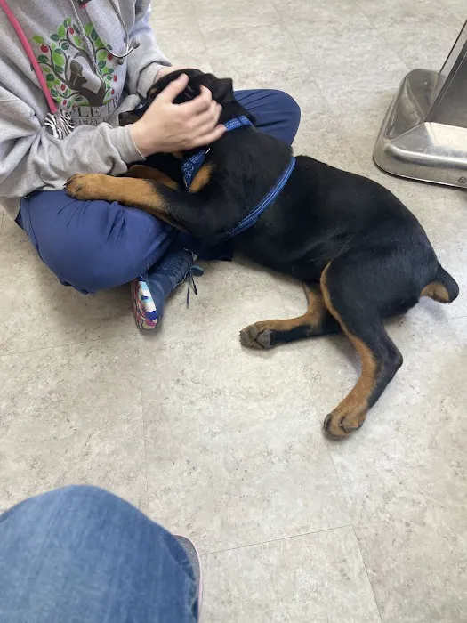 Apple Tree Animal Clinic Picture 9