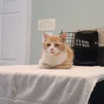 Ranson Animal Hospital