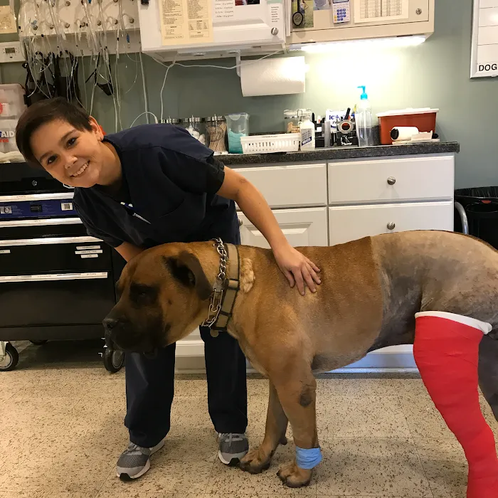 Ranson Animal Hospital Picture 8