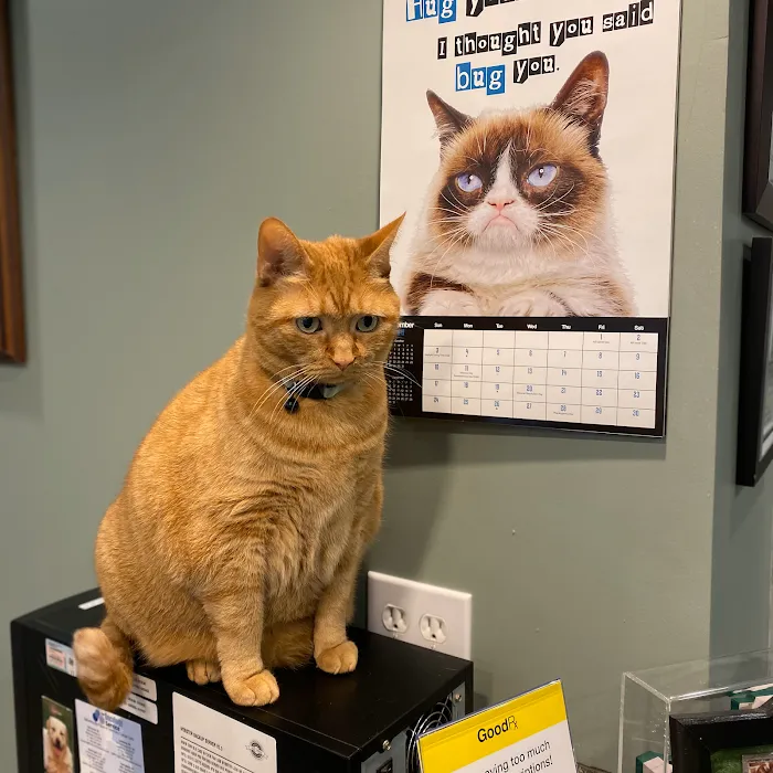 Ranson Animal Hospital Picture 9