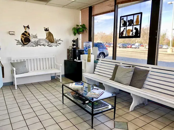 VCA Beacon Hill Cat Hospital Picture 8