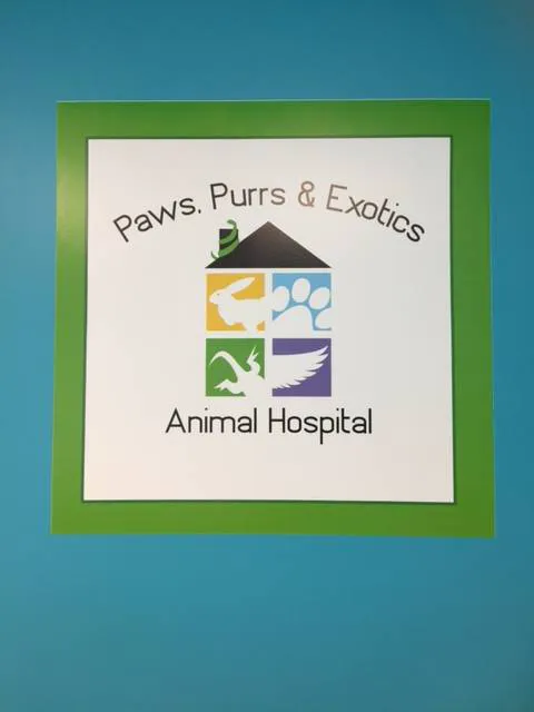 Paws Purrs & Exotics Animal Hospital Picture 2