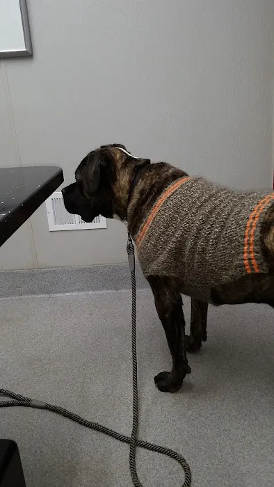St. Charles Animal Hospital Picture 5