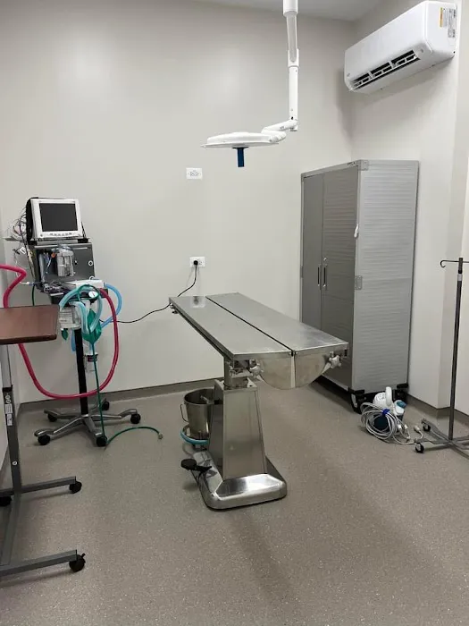 White Oak Veterinary Urgent Care Picture 10