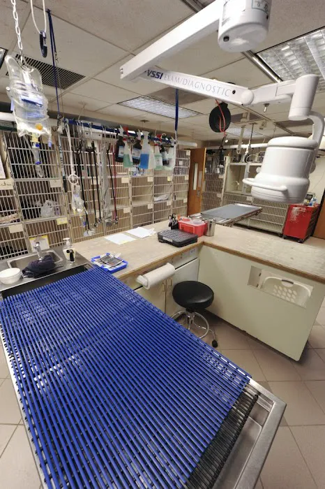 VCA Alexandria Animal Hospital Picture 2