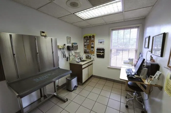 VCA Alexandria Animal Hospital Picture 6