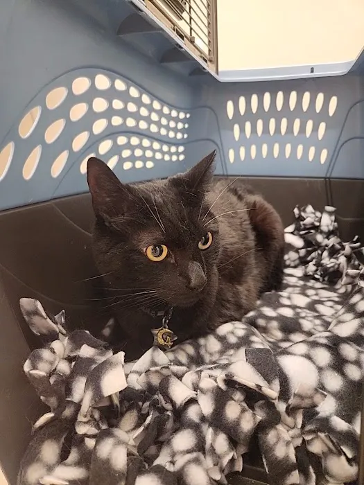 Small Door Veterinary - 14th Street Picture 5