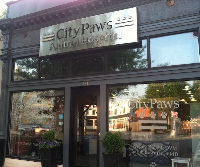 CityPaws Animal Hospital Picture 4