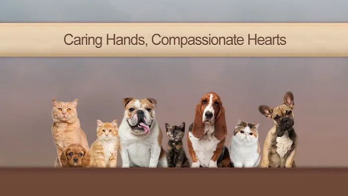 CityPaws Animal Hospital Picture 6