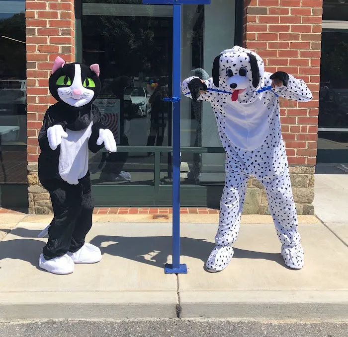 CityPaws Animal Hospital Picture 10