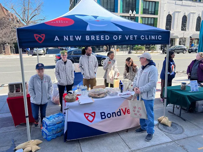 Bond Vet - Logan Circle Picture 6