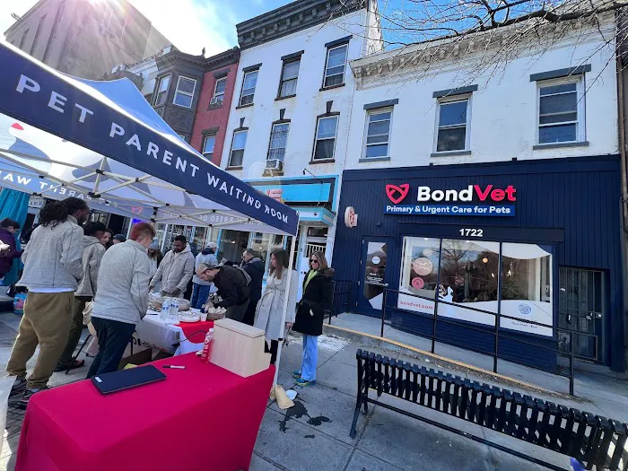 Bond Vet - Logan Circle Picture 9
