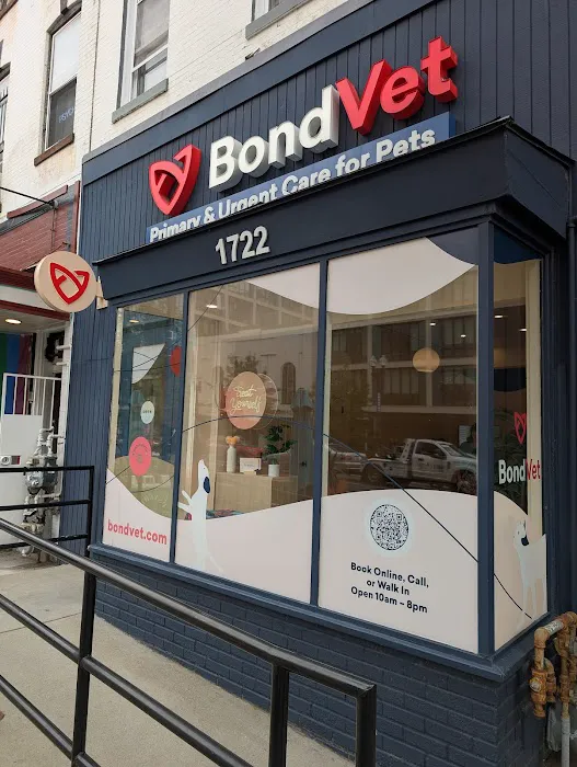Bond Vet - Logan Circle Picture 10