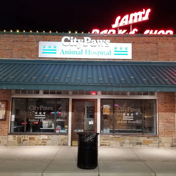 CityPaws Animal Hospital Picture 5