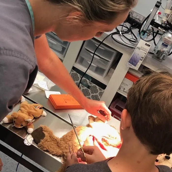 CityPaws Animal Hospital Picture 4