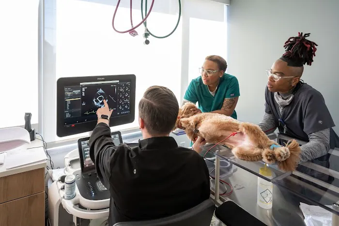 Friendship Hospital for Animals - Emergency and Specialty Center Picture 1
