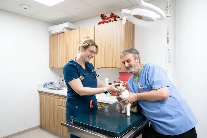 Friendship Hospital for Animals - Emergency and Specialty Center Picture 5