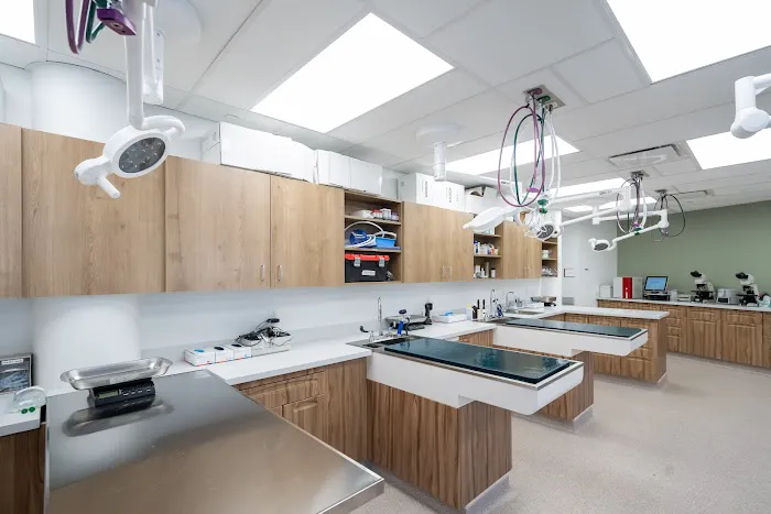 Friendship Hospital for Animals - Emergency and Specialty Center Picture 7
