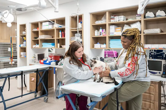Friendship Hospital for Animals - Emergency and Specialty Center Picture 6