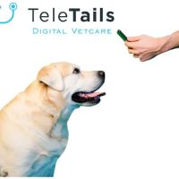TeleTails ico