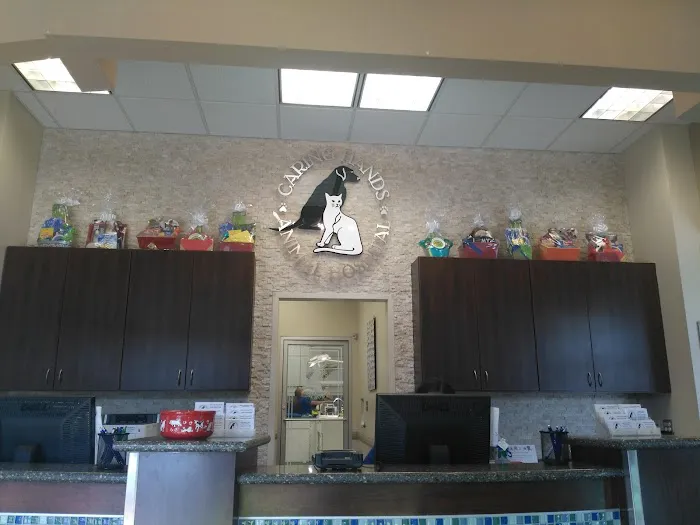 Caring Hands Animal Hospital - Arlington Picture 8