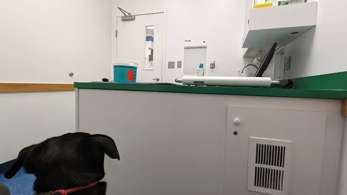 Caring Hands Animal Hospital - Arlington Picture 3