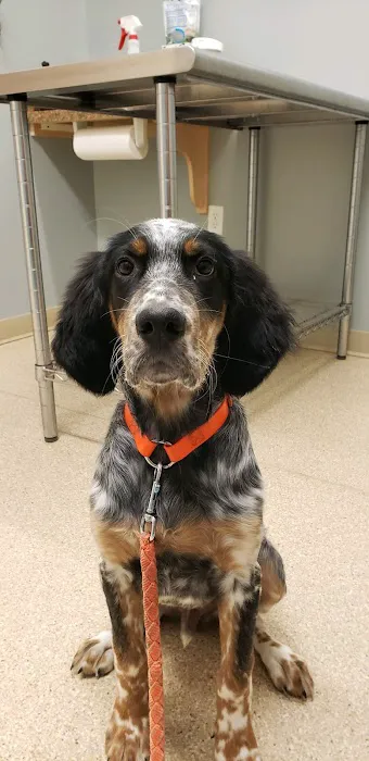 Halfmoon Valley Animal Hospital Picture 9