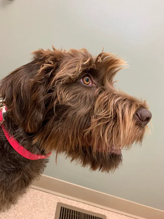 Halfmoon Valley Animal Hospital Picture 10