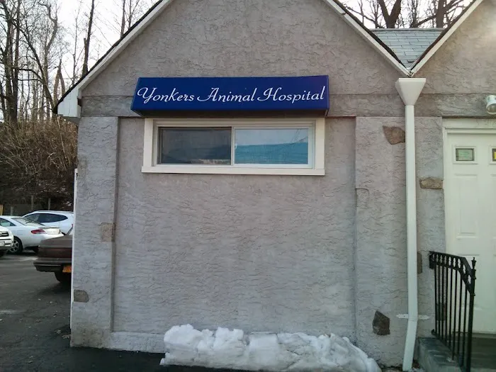Yonkers Animal Hospital Picture 6