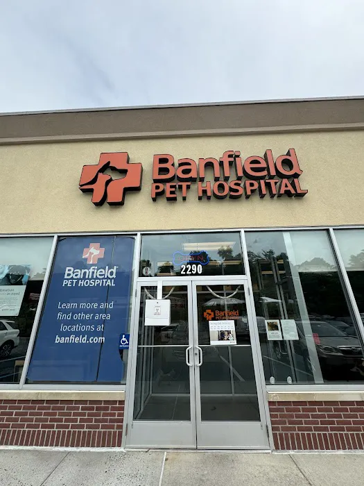 Banfield Pet Hospital Picture 6