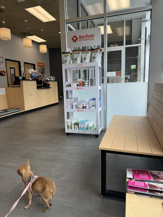 Banfield Pet Hospital Picture 9