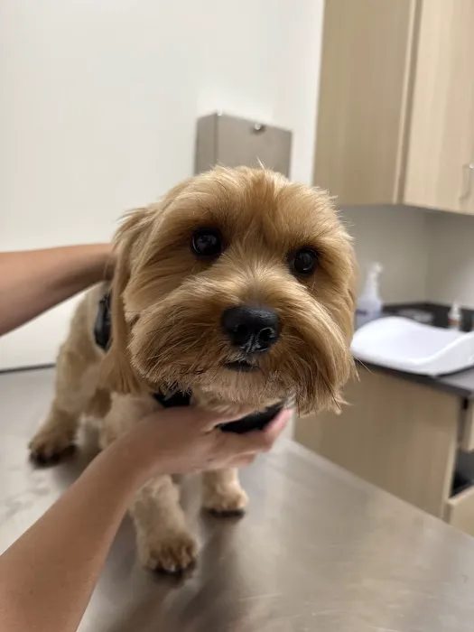 Vetco Total Care Animal Hospital Picture 5