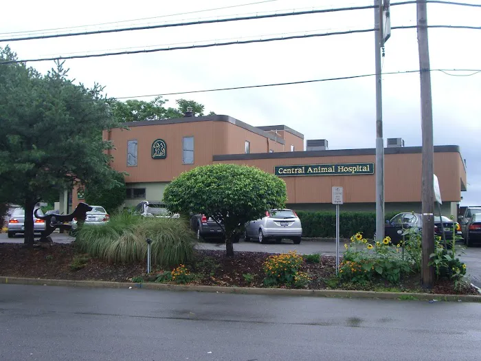 Central Animal Hospital Picture 1