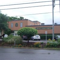 Central Animal Hospital ico